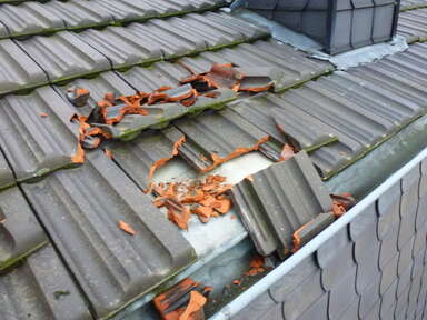 Hier sehen Sie ein paar Entdeckungen und Schäden, die auf Dächern entstehen können.
